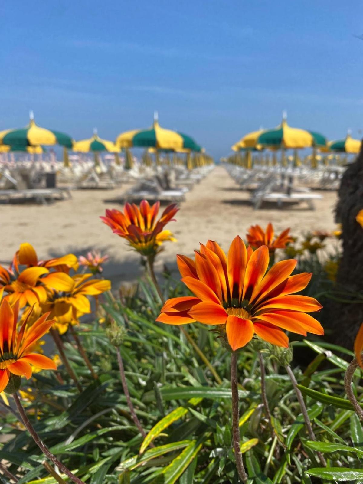 Rimini Bay Suites&Residence Kültér fotó